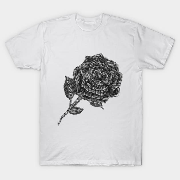 Rose - Black & White T-Shirt by Amy Diener